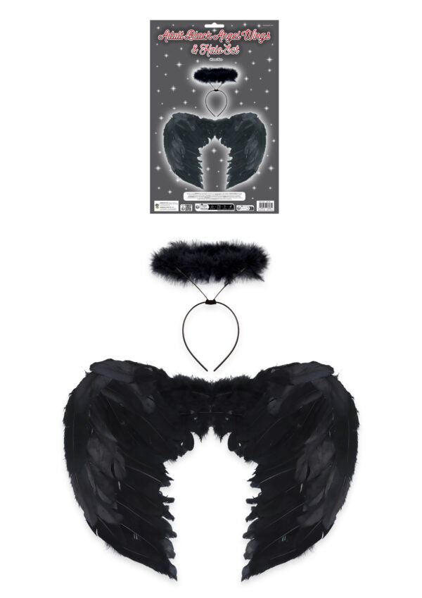 Adult Black Angel Wings and Black Halo 2-Piece Fancy Dress Set